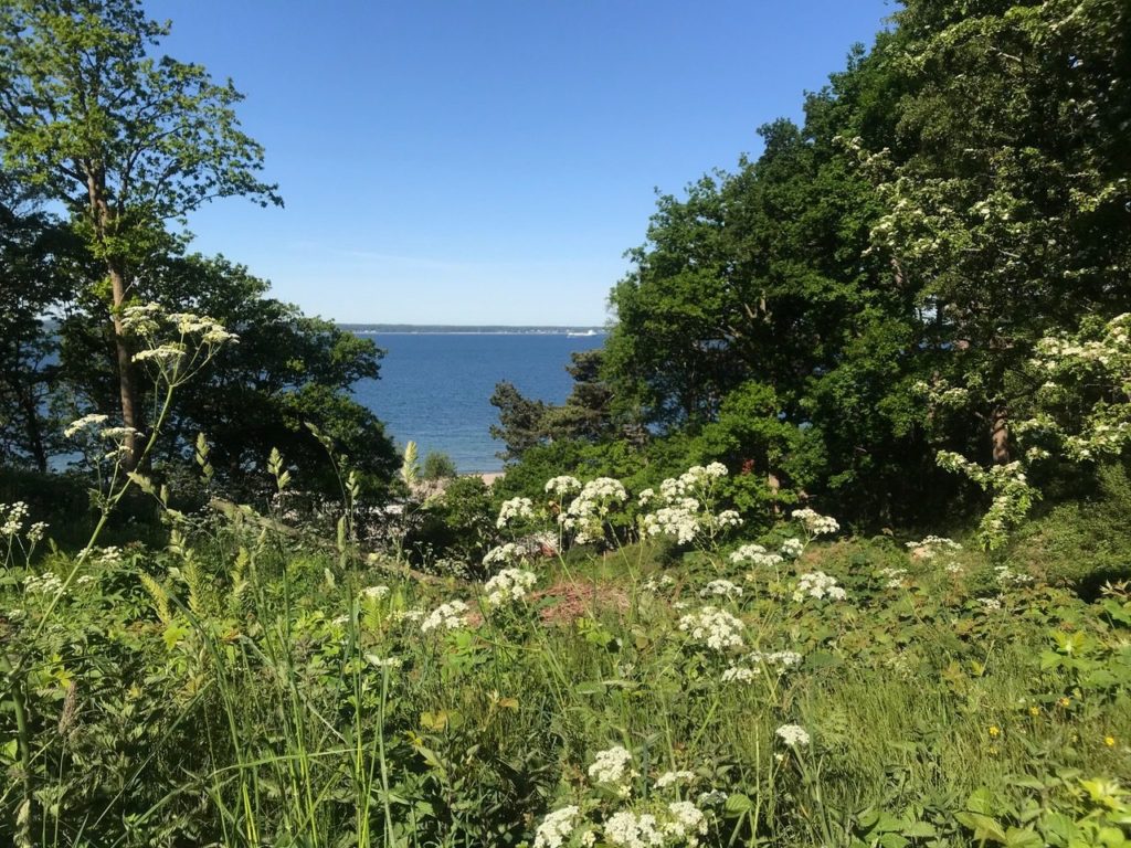 Naturskyddsföreningen Helsingborg